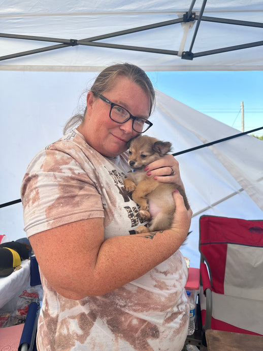 I swear I didn't disappear!