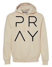 Load image into Gallery viewer, Passion Heavy Weight PRAY Sweatshirt or Tee
